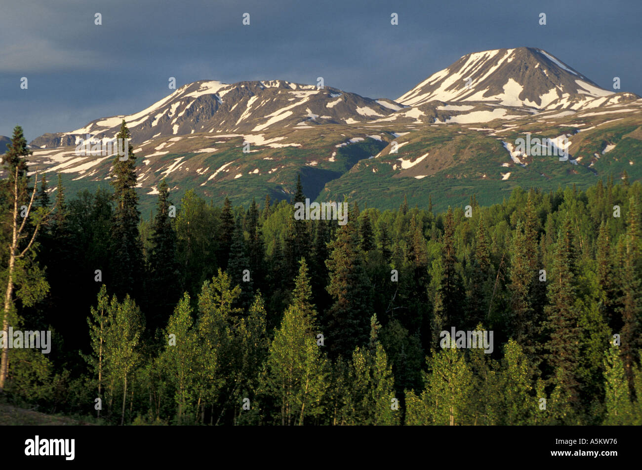 Die Alaska Range von George Parks Highway aus gesehen Stockfoto