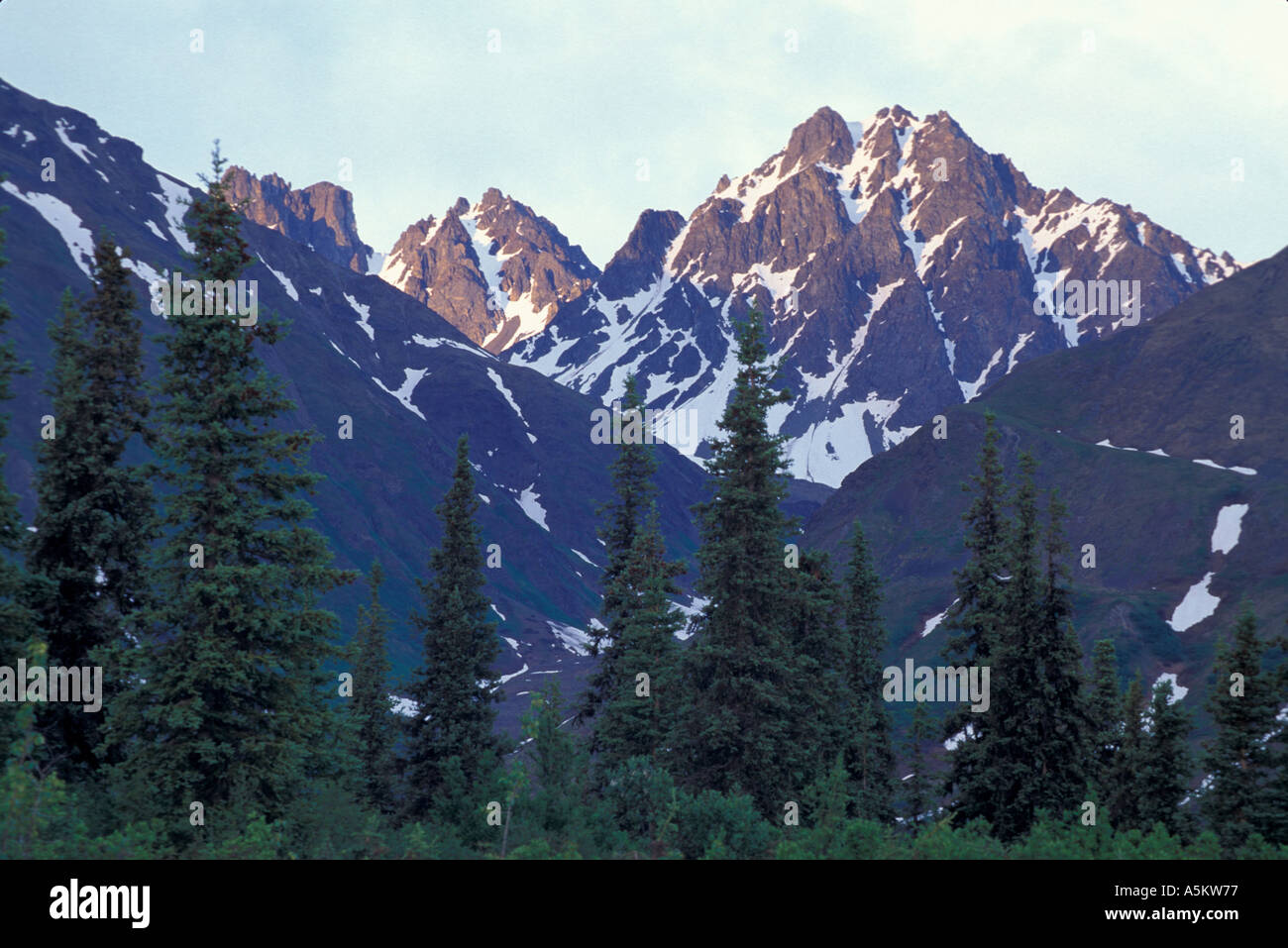 Blick auf die Berge entlang Alaska s George Parks Highway Stockfoto