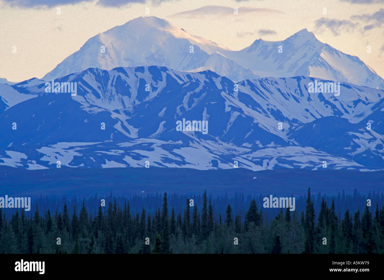 Mount McKinley vom George Parks Highway in der Nähe von Alaska Denali State Park aus gesehen Stockfoto