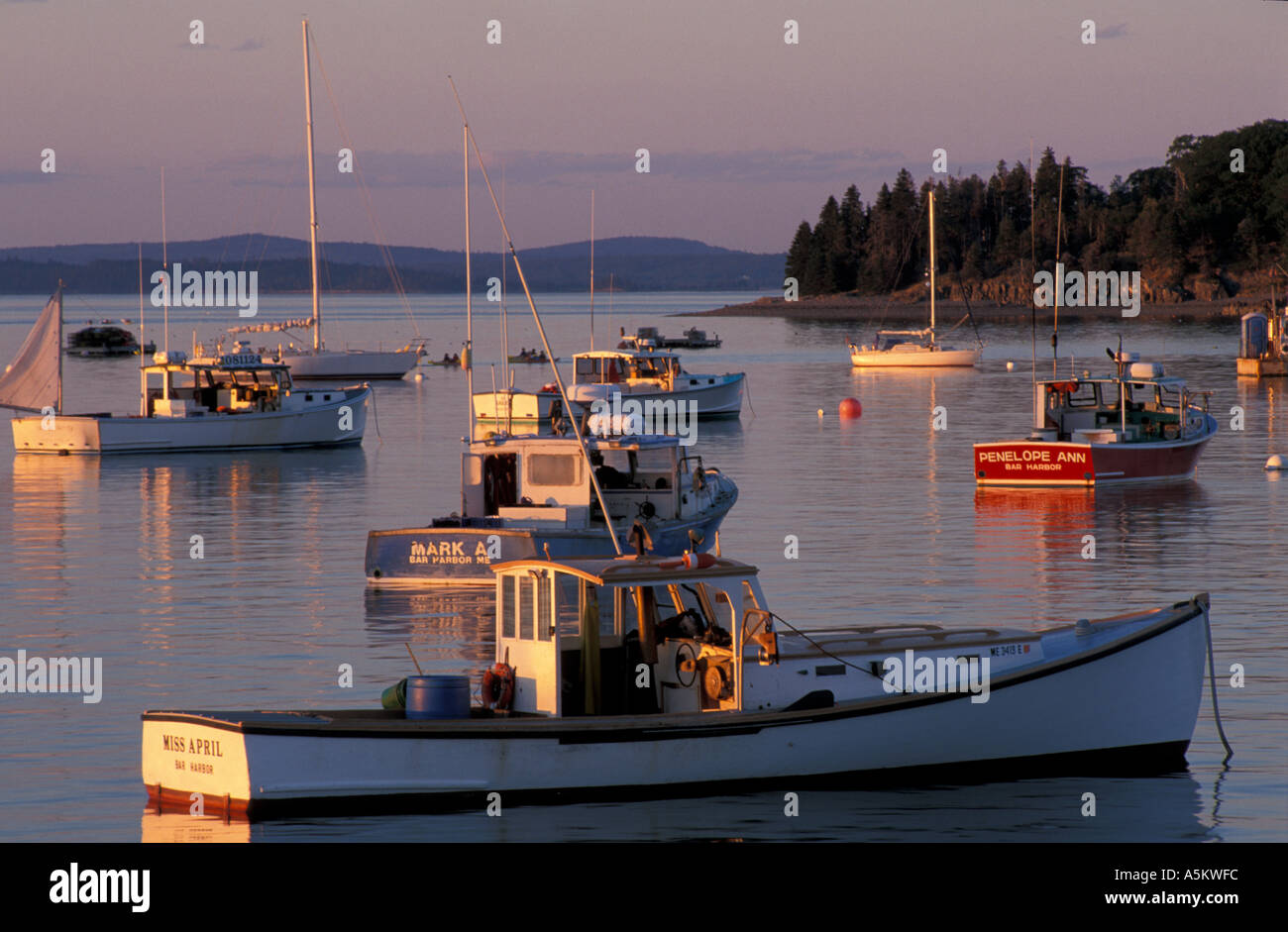 Bar Harbor mir Angelboote/Fischerboote in Bar Harbor Stockfoto