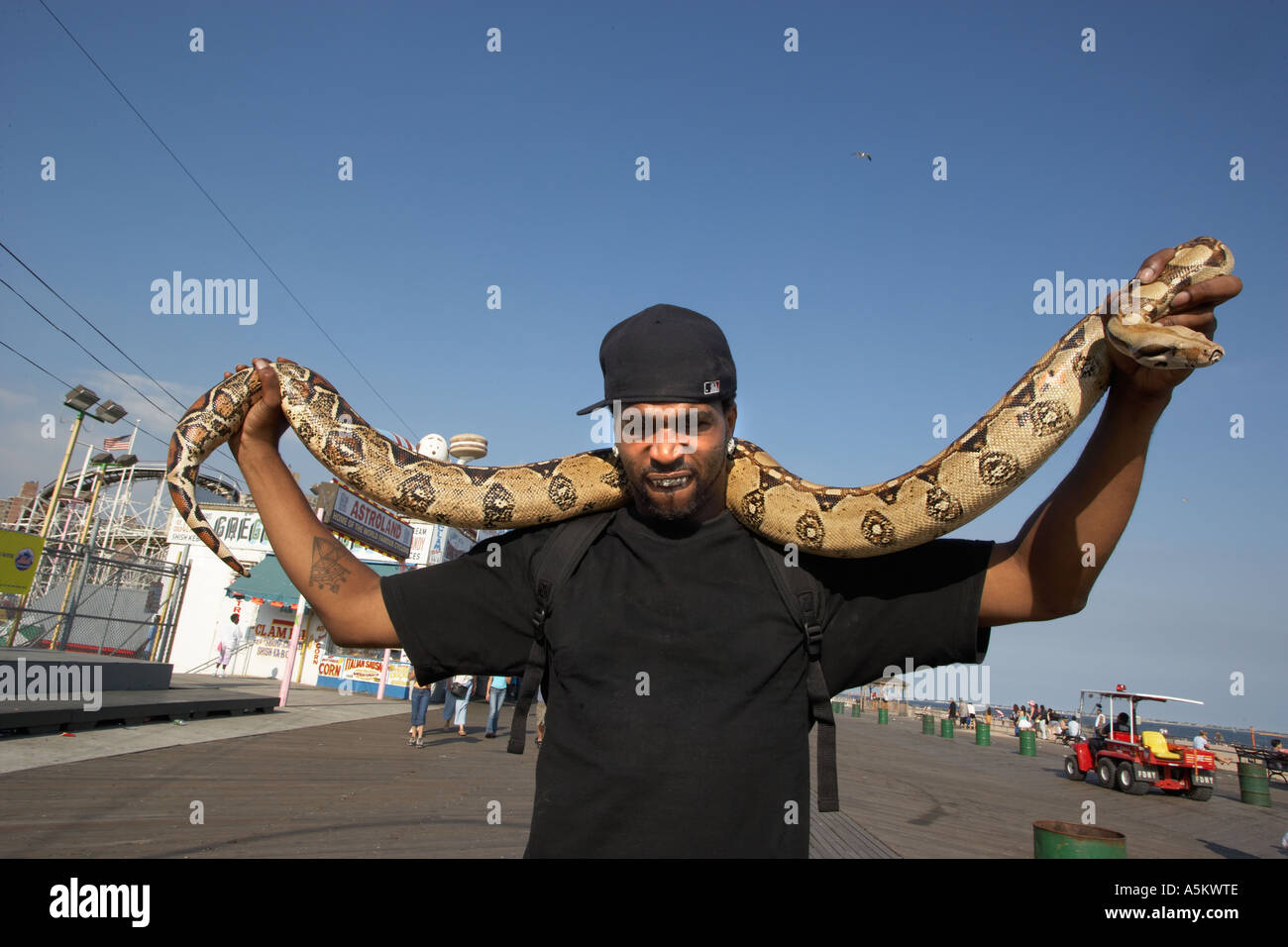 Mann mit Haustier Python auf der Promenade in Coney Island Stockfoto