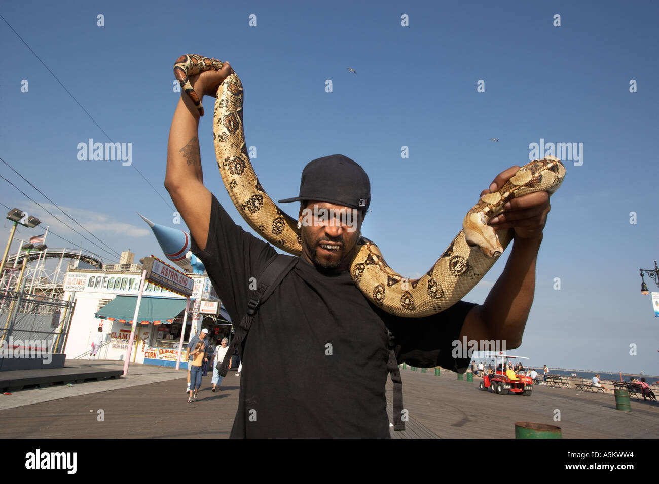 Mann mit Haustier Python auf der Promenade in Coney Island Stockfoto