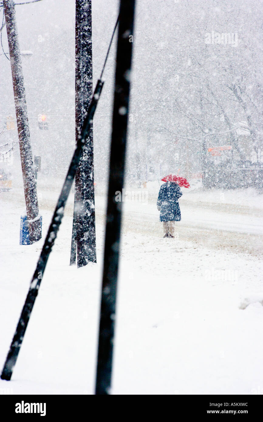 Mann mit roten Regenschirm in einem Schneesturm erwischt Stockfoto