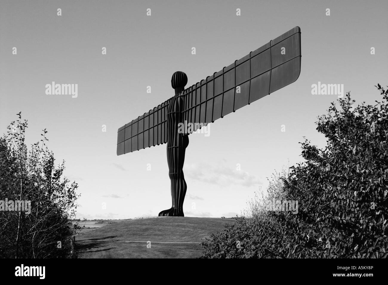 Der Engel des Nordens Skulptur, Gateshead, England Stockfoto