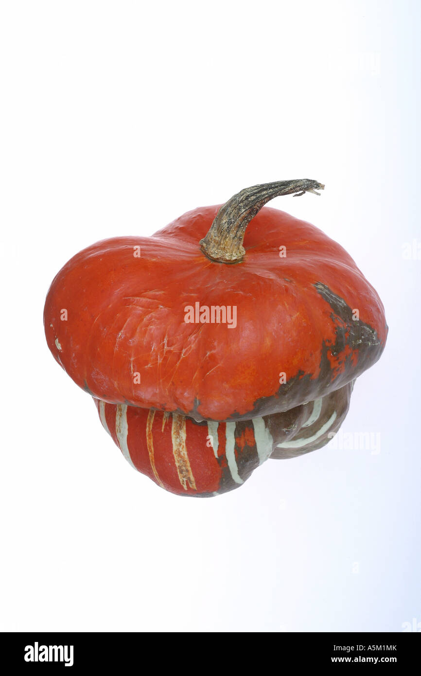 Turban Squash auf weißem Hintergrund Stockfoto