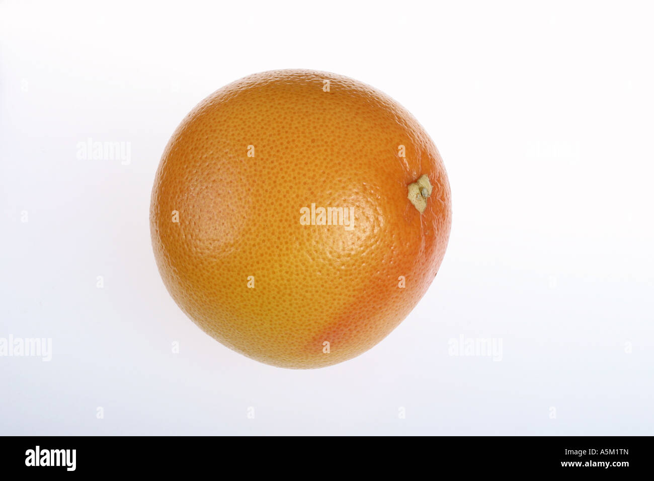 eine Orange auf weißem Hintergrund Stockfoto