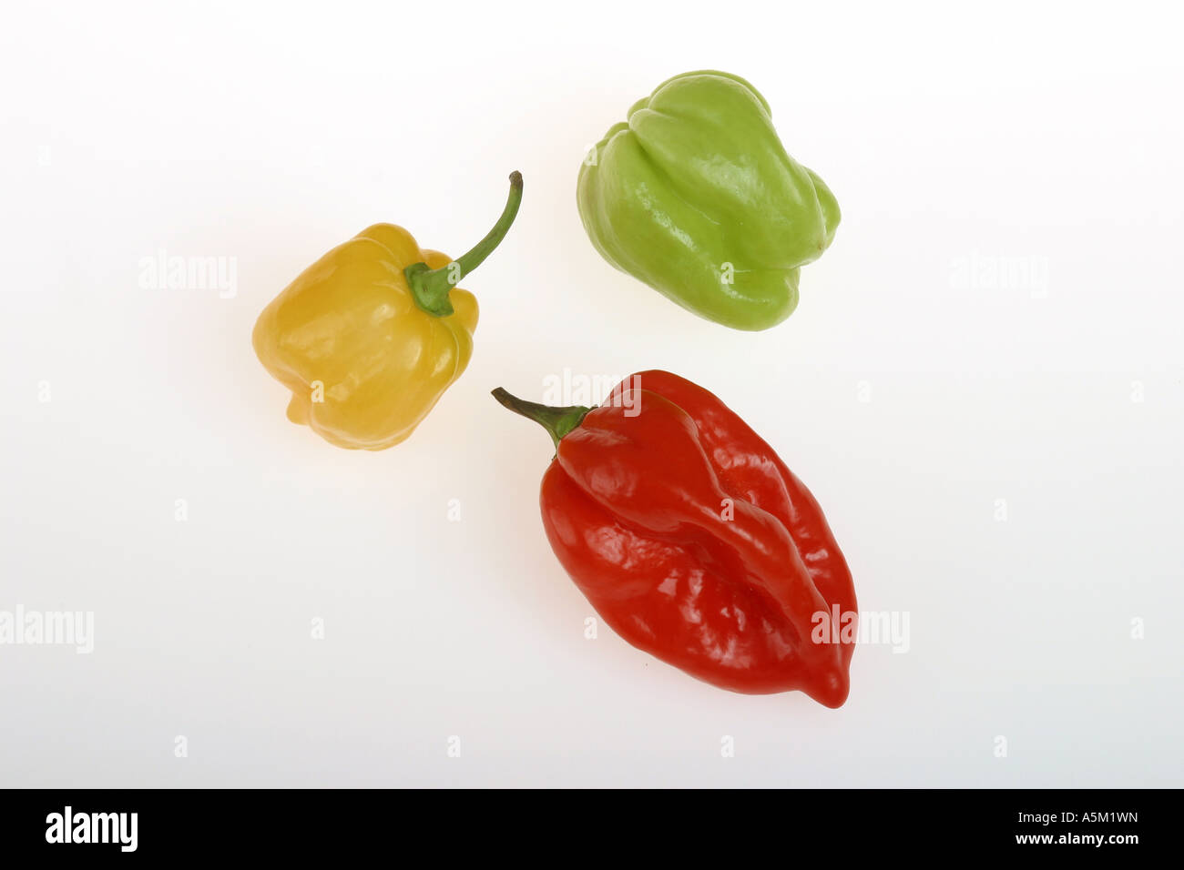 Paprika auf weißem Hintergrund Stockfoto