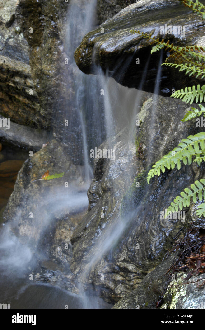 Wasser fließt über einen Felsen-Wasserfall in dieser Nahaufnahme Bild, das die Bewegung des Wassers zeigt Stockfoto