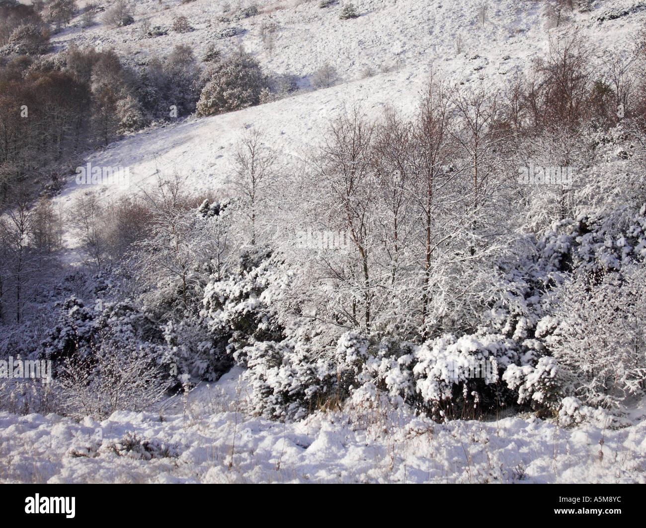 Schnee auf Parkhall Land-Park, Stoke-On-Trent, Staffordshire. Stockfoto