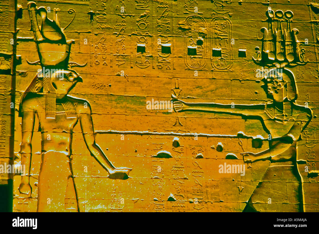 Philae Ägypten, antike Kunst, Hieroglyphen, Flachrelief auf Wand leuchtet in der Nacht im "Tempel der Isis" zeigt Gott Horus Stockfoto