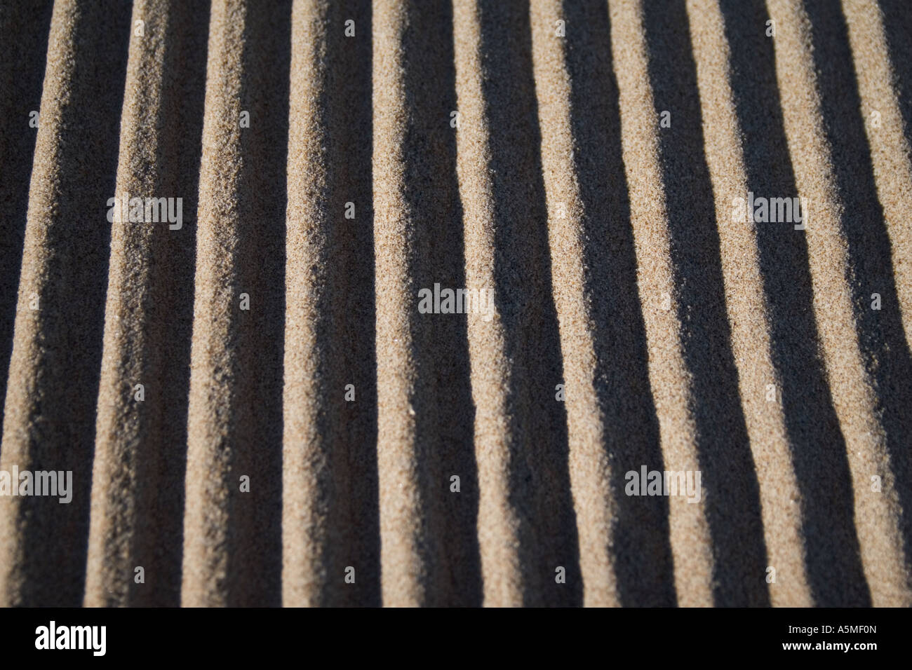 Linien in den Sand aus dem Sand sauberer Automaten. Stockfoto