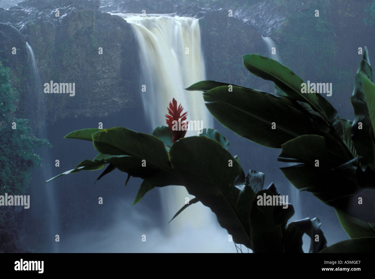 Rainbow Falls über der Stadt Hilo Big Island Hawaii USA Stockfoto