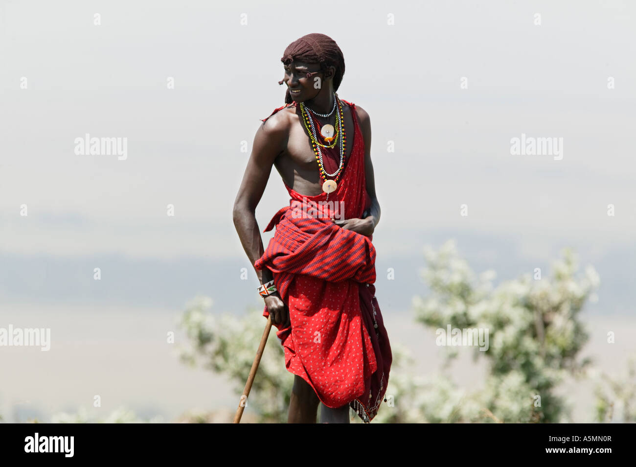 Ein Masai Tribesman in Kenia Afrika Stockfoto