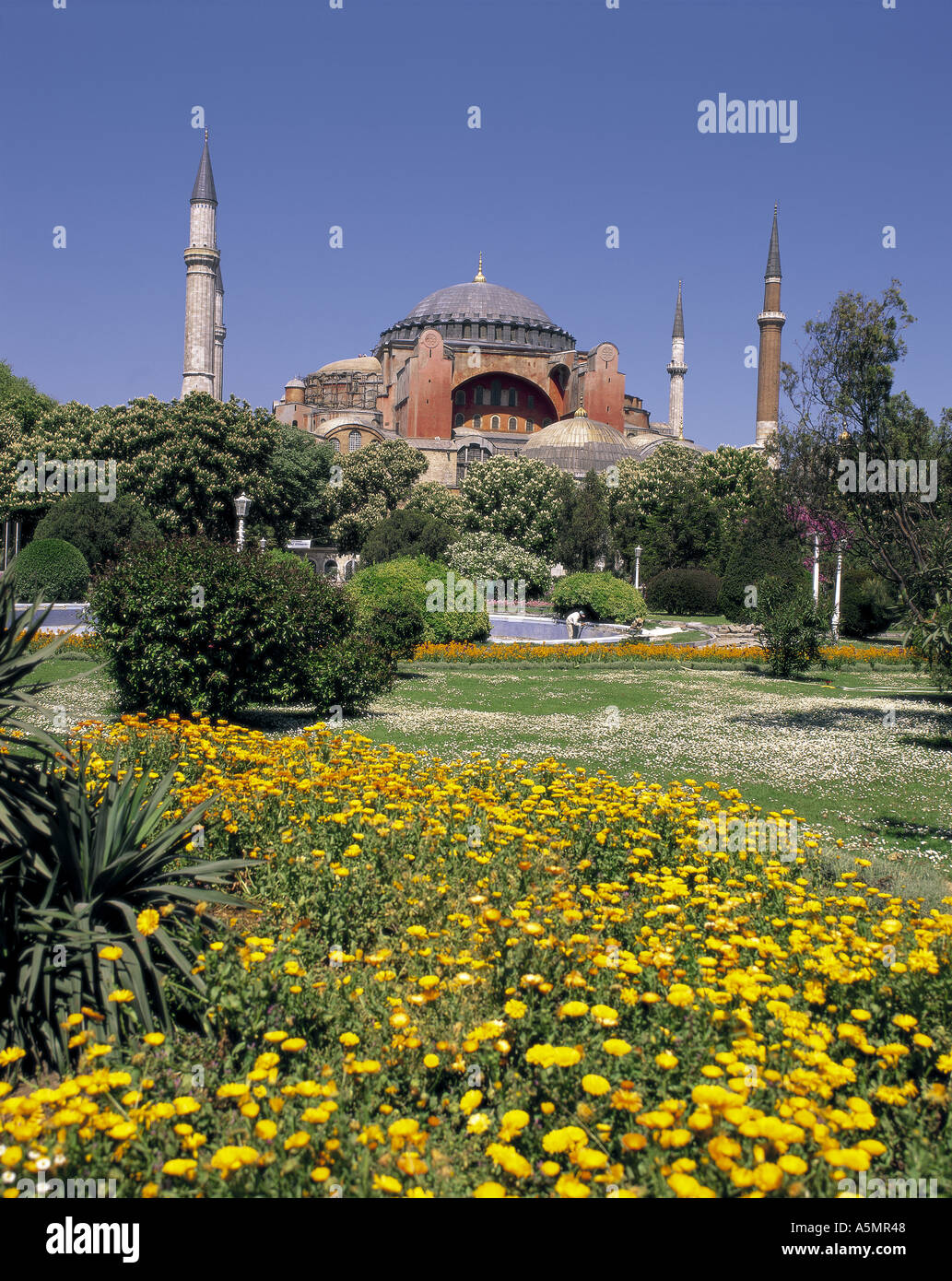 Hagia Sofia Moschee Istanbul Türkei Stockfoto