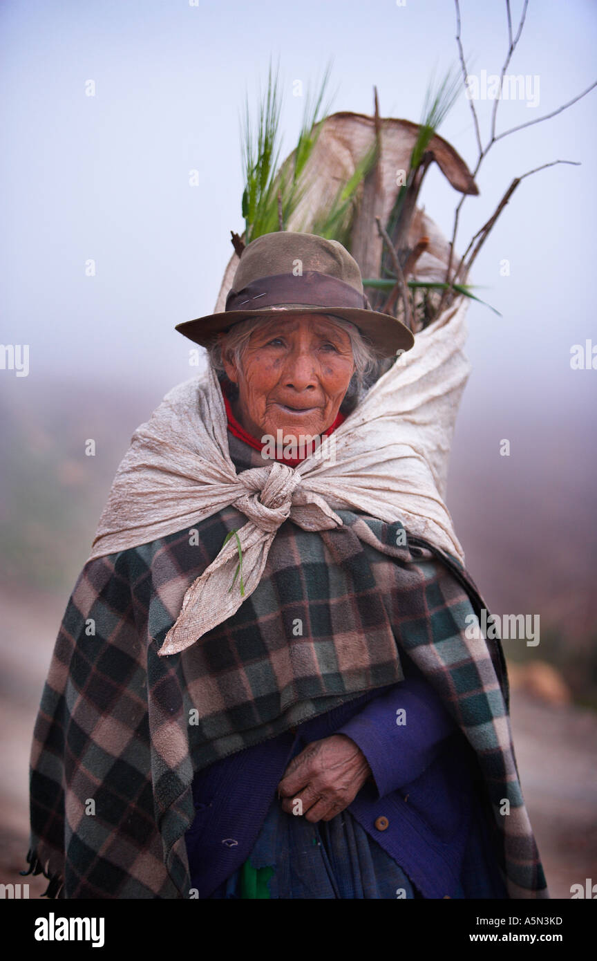 eine Quecha Frau nr Marras auf Pampasmojo Heilige Tal Nr. Cusco Peru Stockfoto