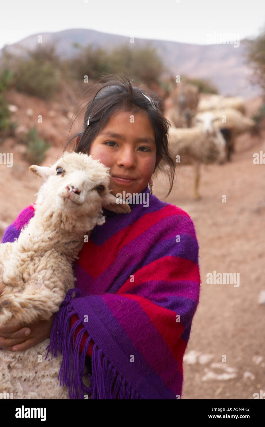 eine Quechua Hirt Mädchen Pampasmojo nr Marras über die Heilige Tal nr Cusco Peru Stockfoto
