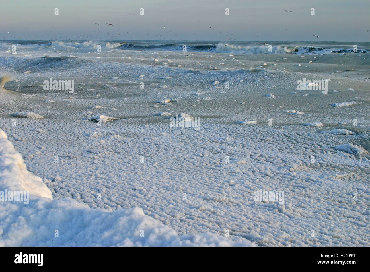 Schwarzmeer-Küste von Winter Meer mit Wellen von Schneeverwehungen, Bulgarien Stockfoto