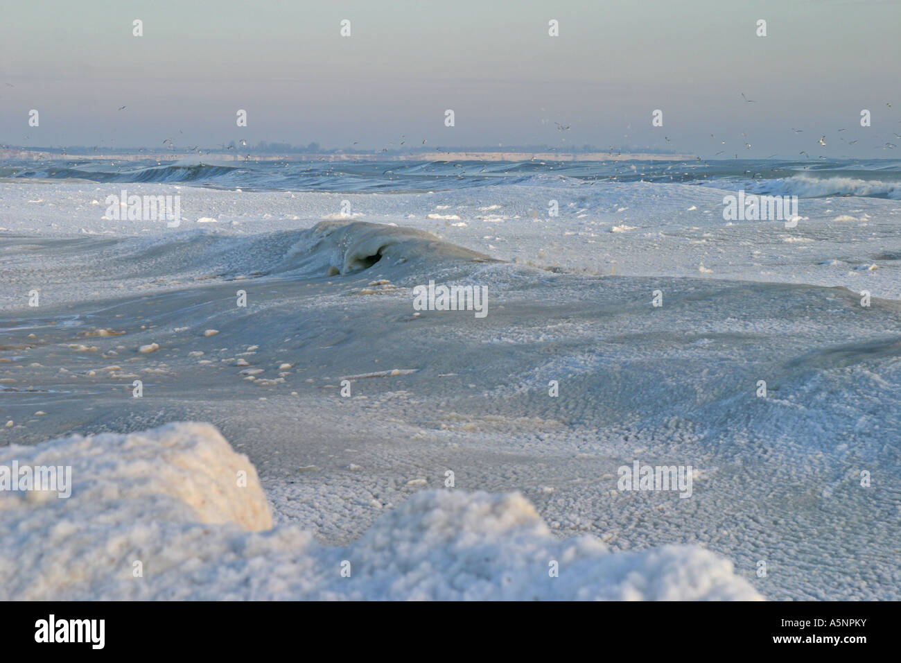 Schwarzmeer-Küste während des Winters, Bulgarien Stockfoto