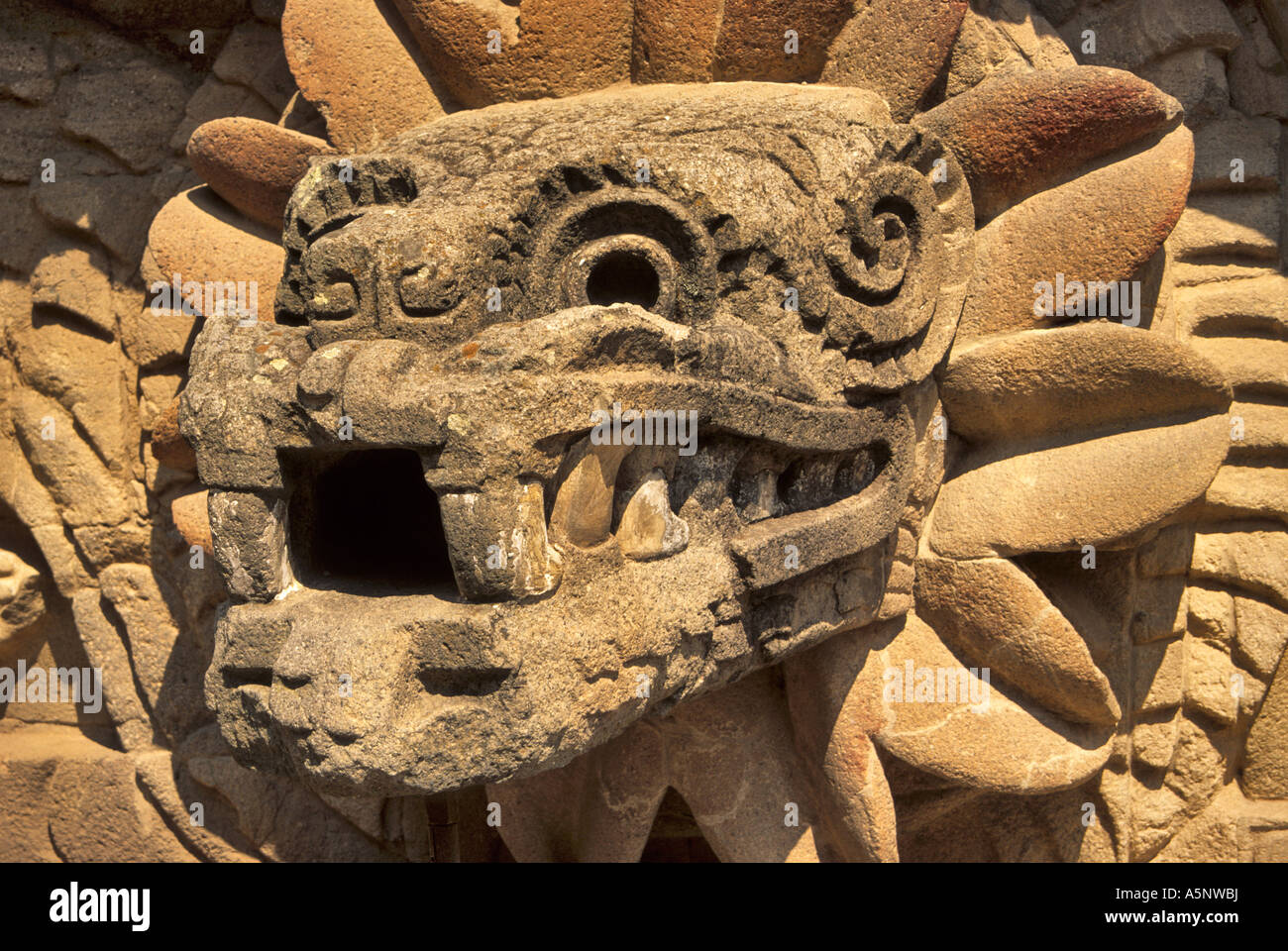 Quetzalcoatl Kopf am Tempel der gefiederten Schlange in Teotihuacan, Mexiko Stockfoto