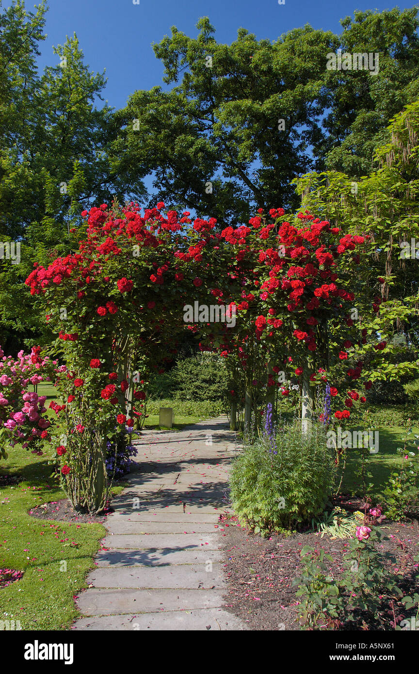 Stieg Garten Nord Rhein Westfalen Deutschland Rosa Spec Rosenbogen Mit