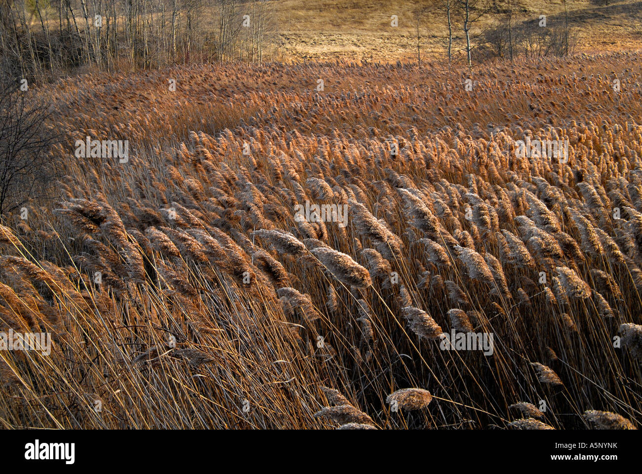 Ende der Saison ruhige Szene Stockfoto