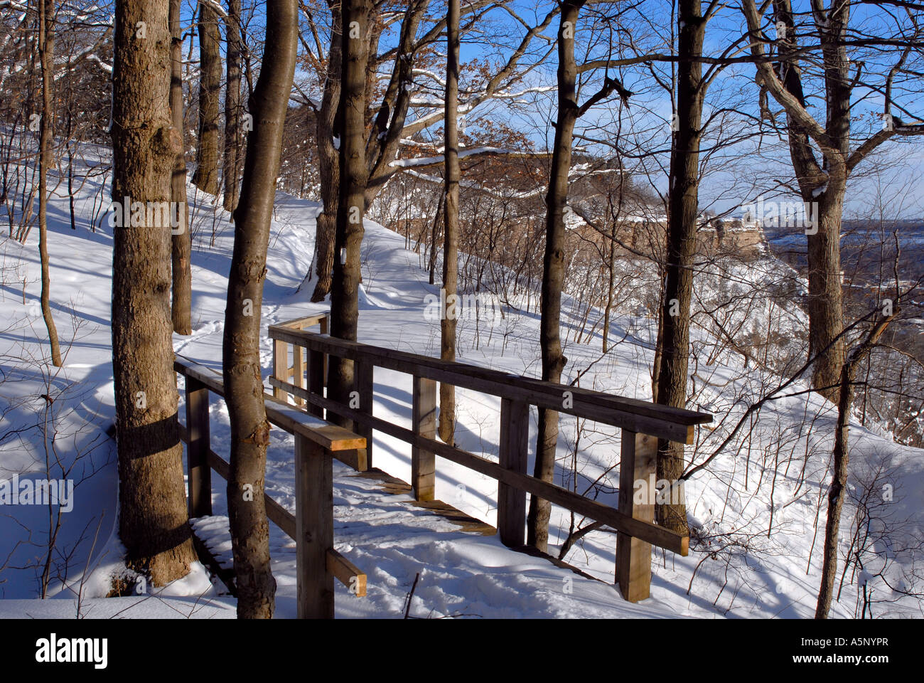Bruce Trail im winter Stockfoto