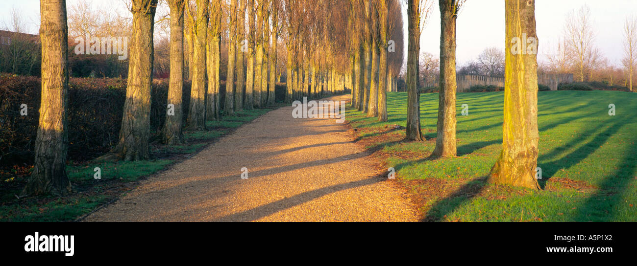 Von Bäumen gesäumten Pfad von Grand Union Canal Woughton Milton Keynes England Stockfoto