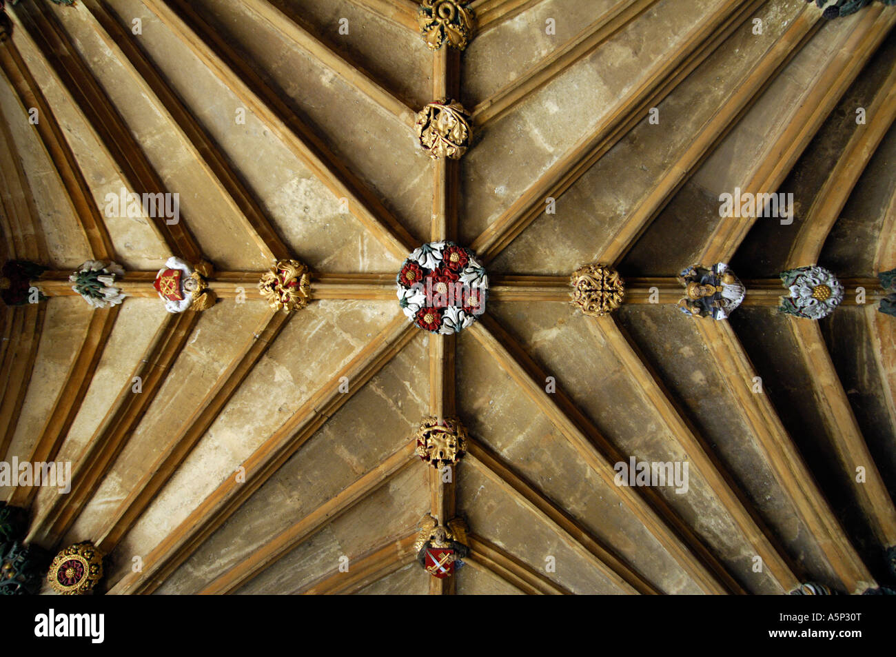 Ventilator Gewölbedecke Magdalen College der Oxford University Stockfoto