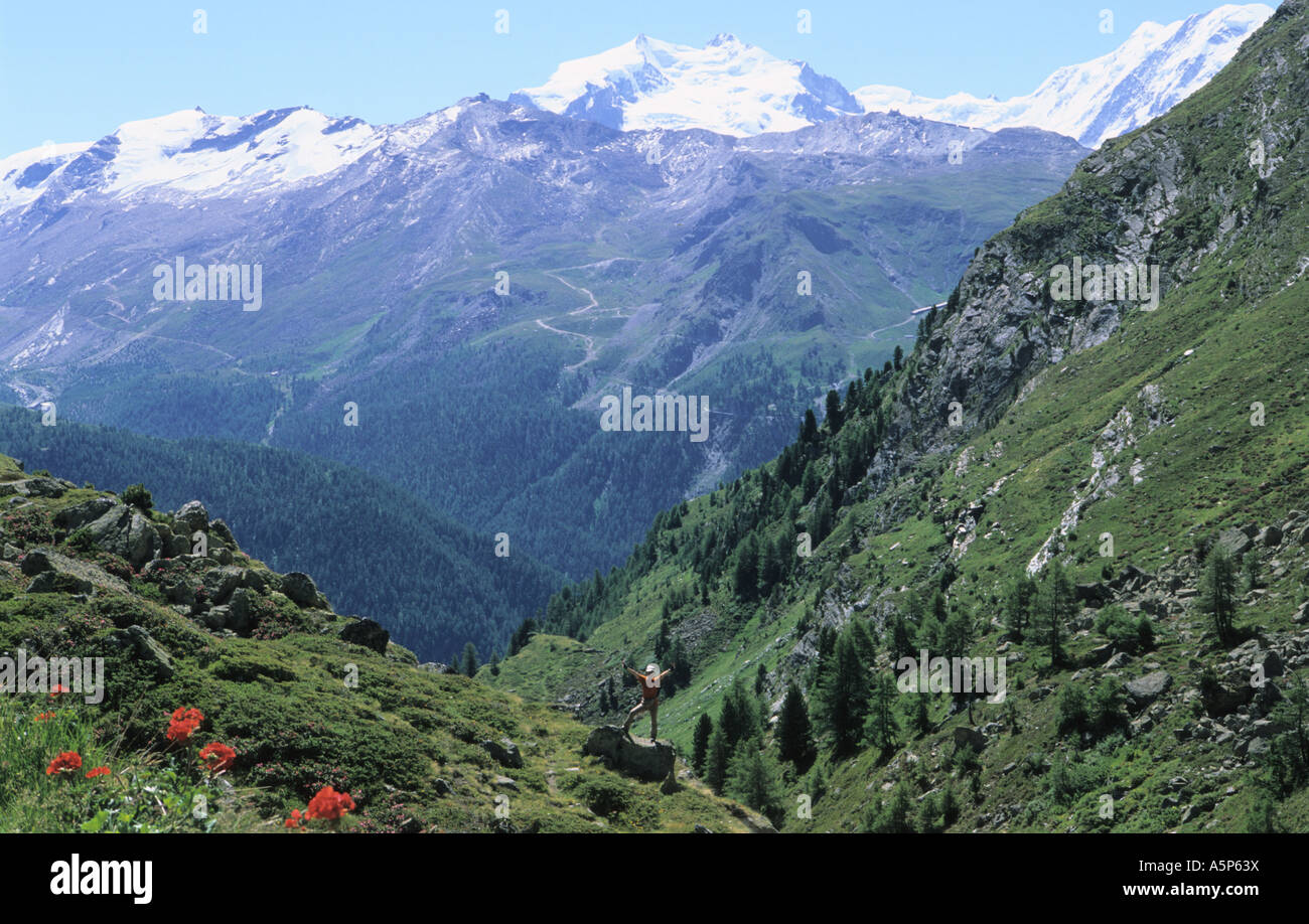 Zermatt-Tal Stockfoto