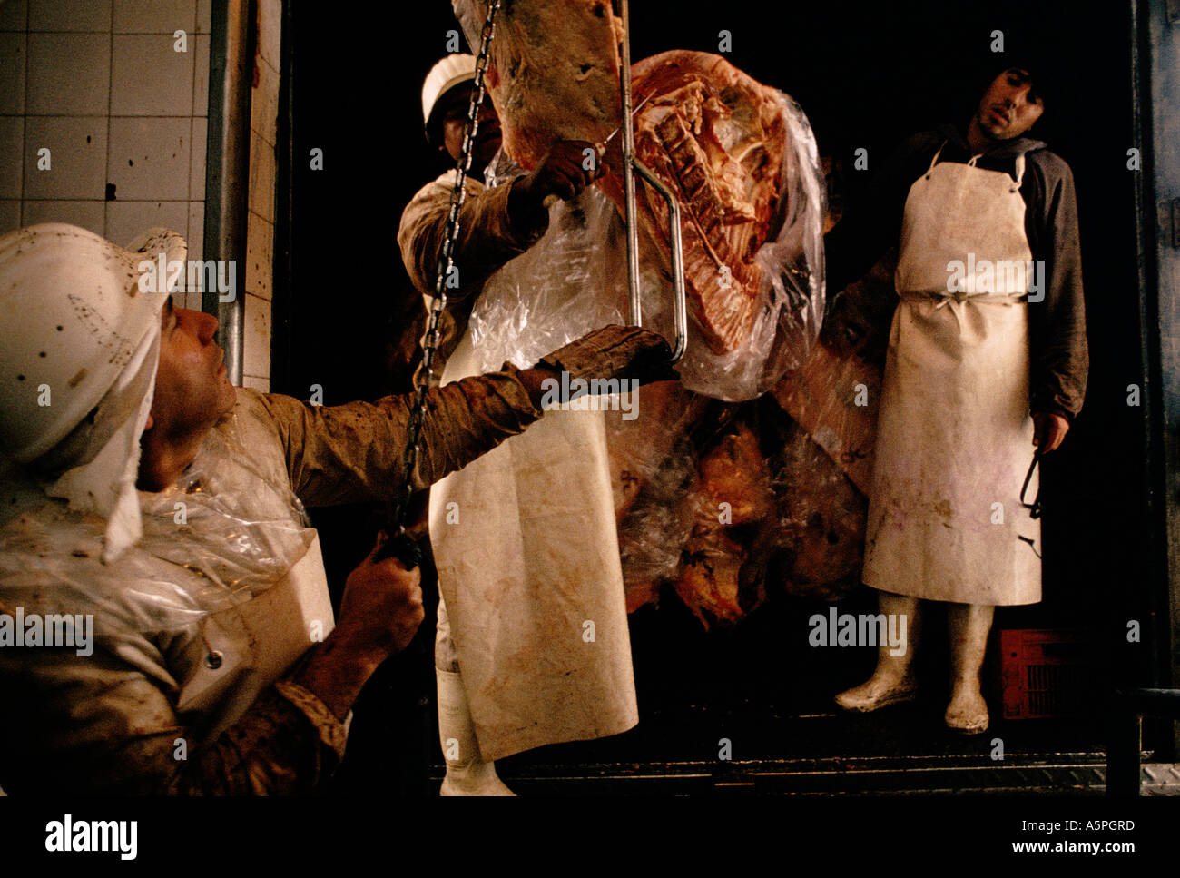 HALBE Seiten von Rindfleisch sind genommen aus der Schlachtung Haus zu einzelnen Metzgereien in BUENOS AIRES Argentinien Stockfoto