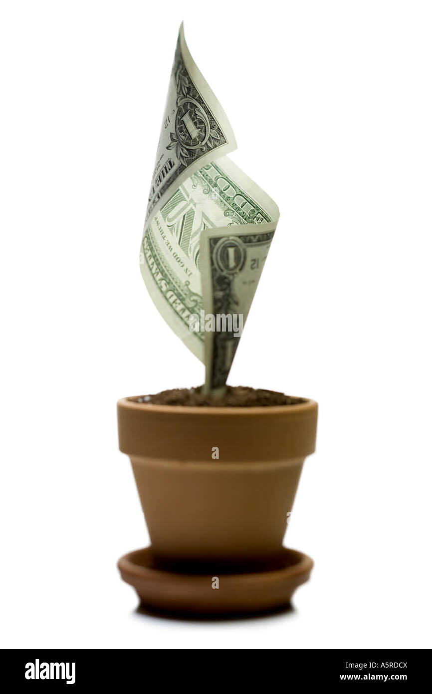 Eine amerikanische einen Dollarschein in einen Blumentopf wachsen Stockfoto