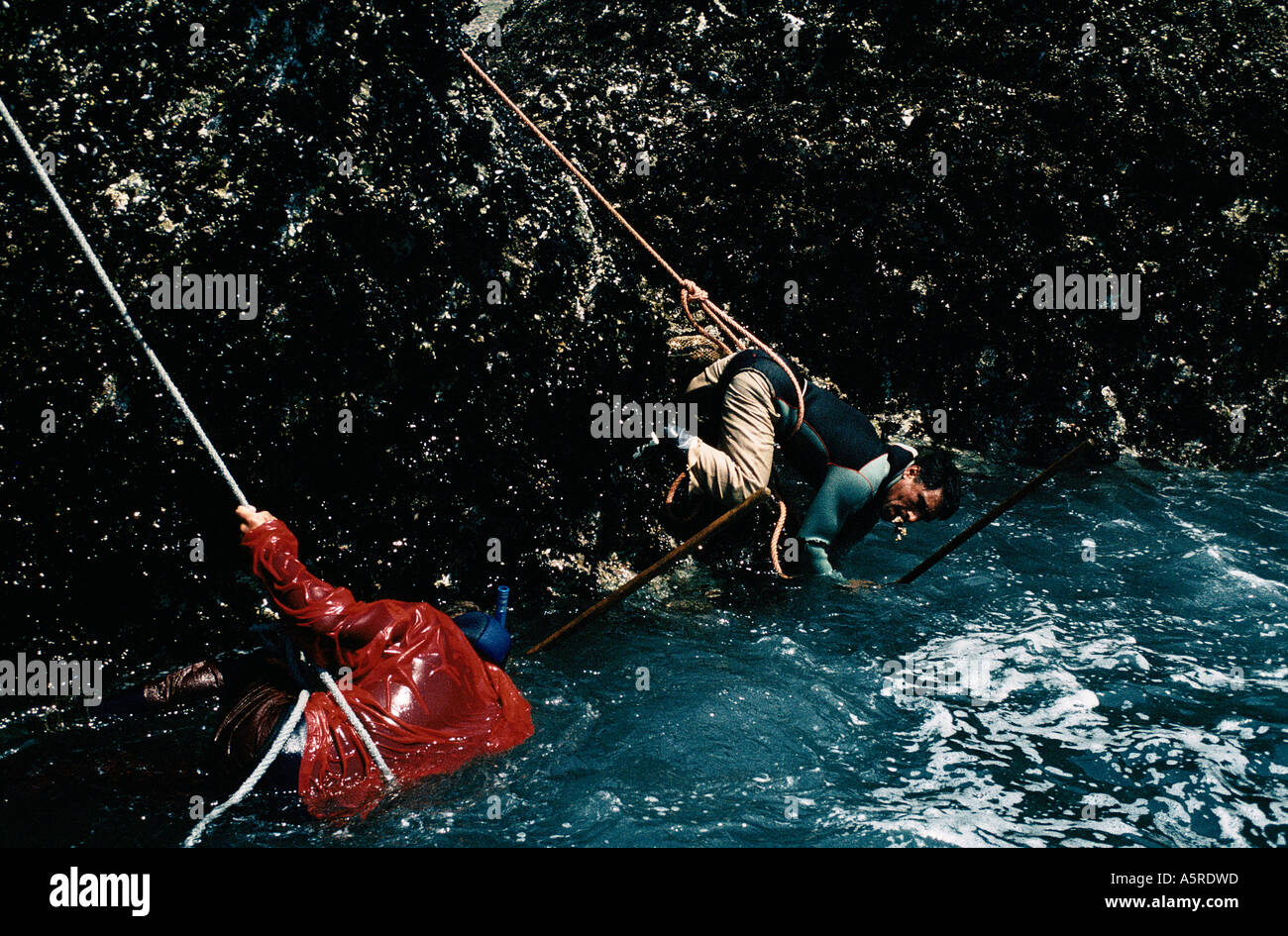 GALIZISCHEN FISCHWIRTSCHAFT, FISCHER VERWENDEN EINFACHE TECHNIKEN, UM ENTFERNEN ENTENMUSCHEL BERGSTEIGEN EINE GALIZISCHE DELIKATESSE DER ROCK FACE Stockfoto