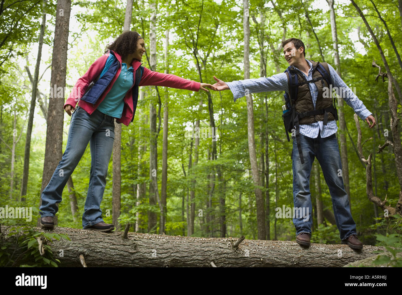 Niedrigen Winkel Blick auf ein junges Paar Hand in Hand und gehen auf einen umgestürzten Baum Stockfoto