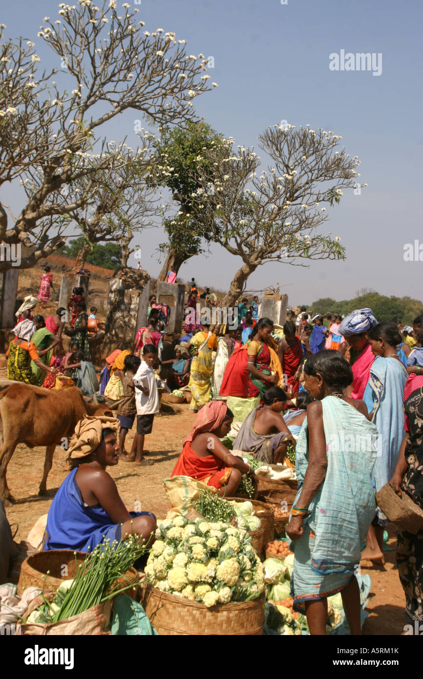 Frangipani-Bäume bilden einen exotischen Hintergrund für die bunten ländlichen Desia Paraja Mali Stammesfrauen Barter Wochenmarkt Orissa Stockfoto