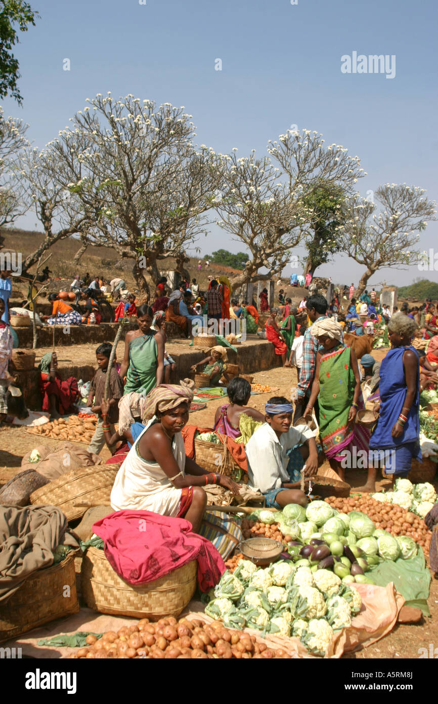 Frangipani-Bäume bilden einen exotischen Hintergrund für die bunten ländlichen Desia Paraja Mali Stammesfrauen Barter Wochenmarkt Orissa Stockfoto