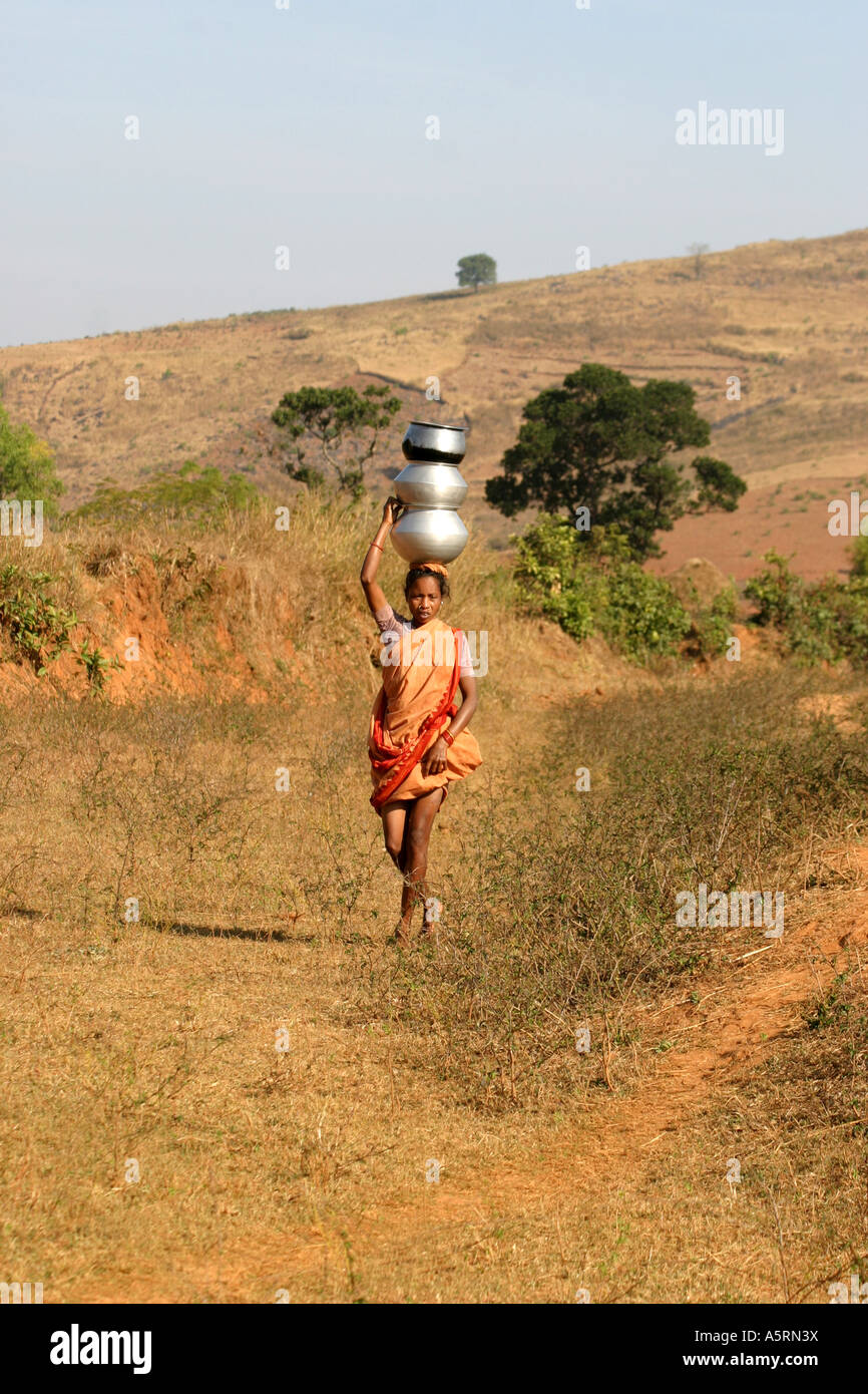 Gadaba Indianerin gleicht drei schwere Töpfe auf dem Kopf, wie sie Wasser täglich in ihr abgelegenes Dorf im Südwesten Orissa trägt Stockfoto