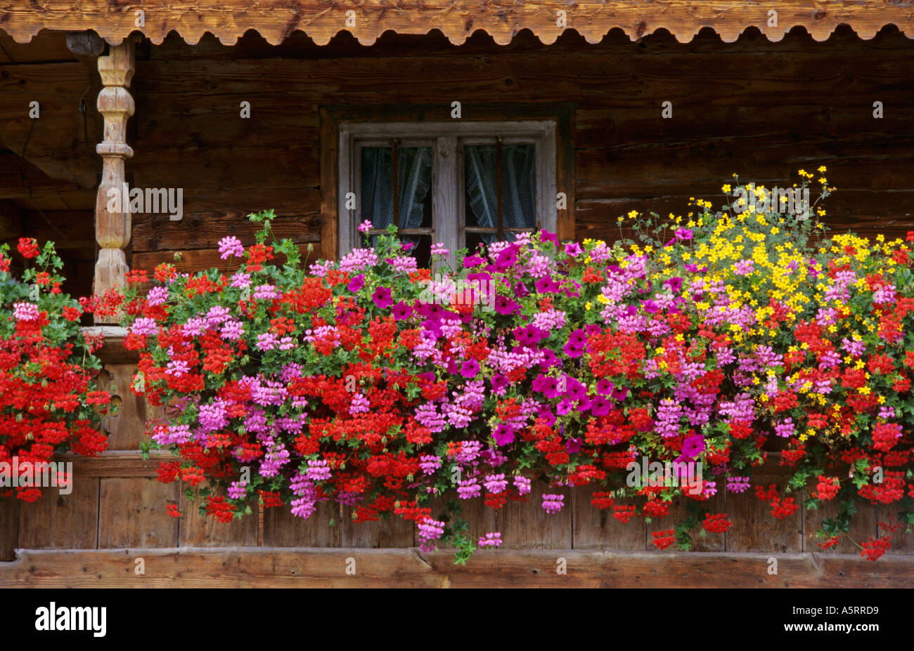blumenkasten fensterbrett Blumenkastenhalterung für die Fensterbank main image 0