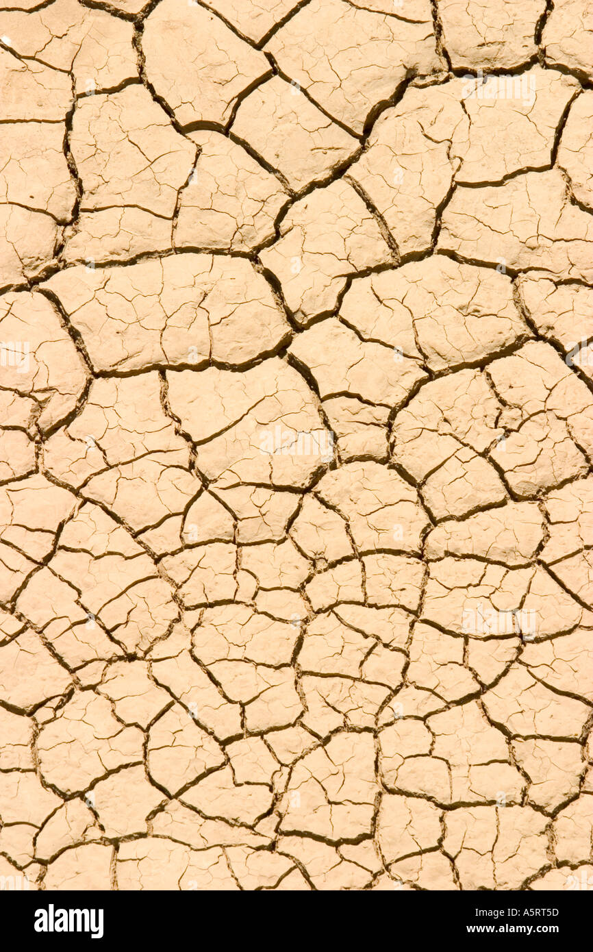 Rissige, ausgetrocknete Land während der Dürre Stockfoto