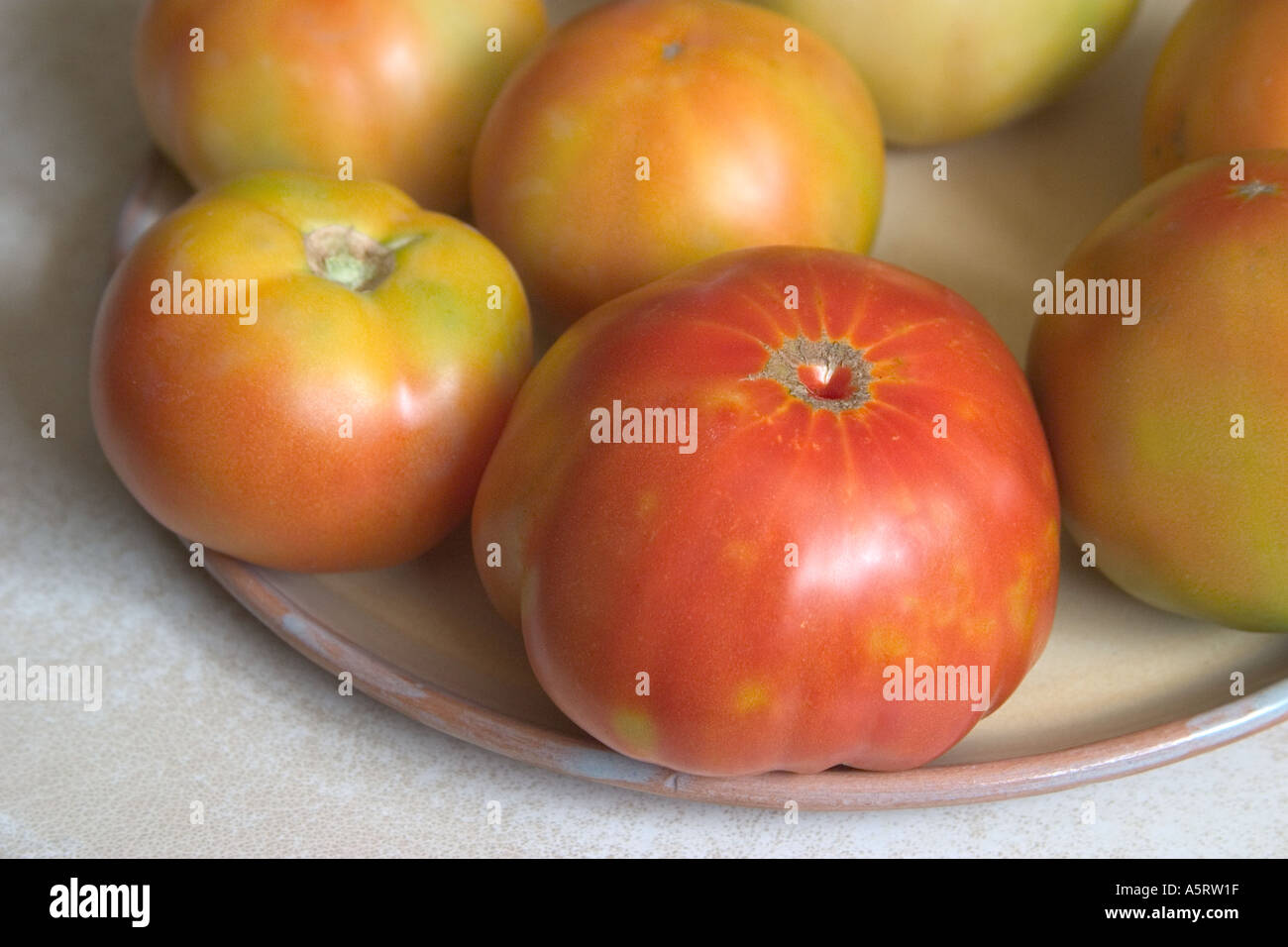 Tomaten Stockfoto