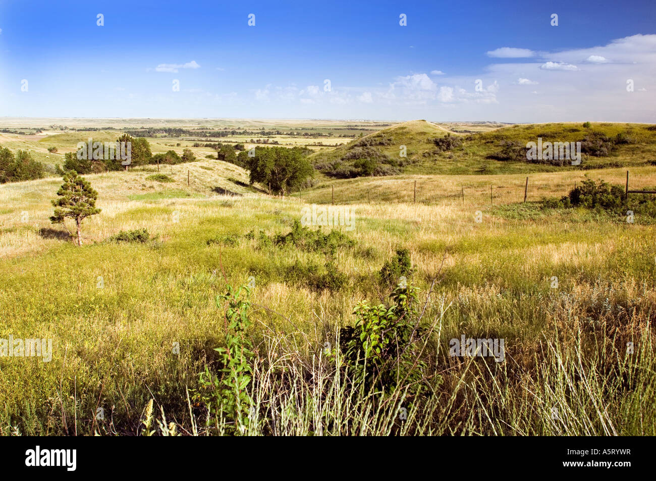 Landschaft in der Bear Butte State Park in der Nähe von Sturgis SD Stockfoto