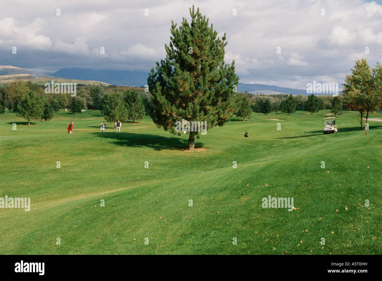 Golfplatz Stockfoto