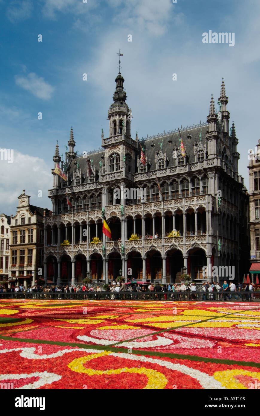 Grand Place Flower Carpet 2004 Brüssel Belgien EU Europa eye35.com Stockfoto