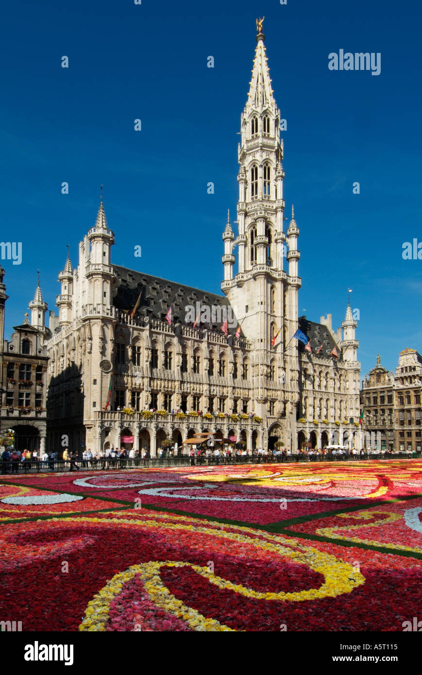 Die Grand Place Flower Carpet 2004 Brüssel Belgien EU Europa Stockfoto