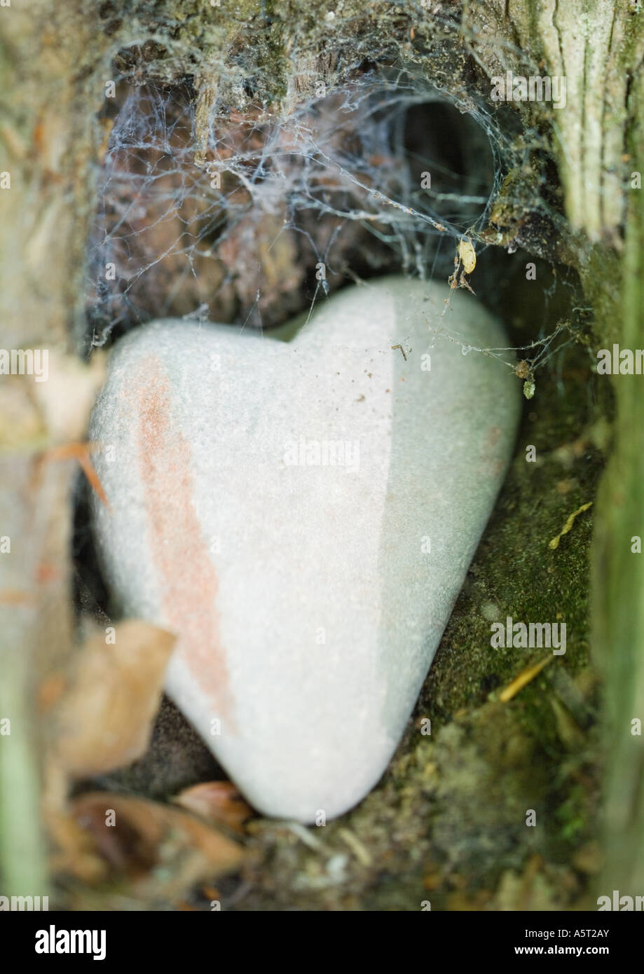 Herzförmige Stein im Webcovered Winkel Stockfoto