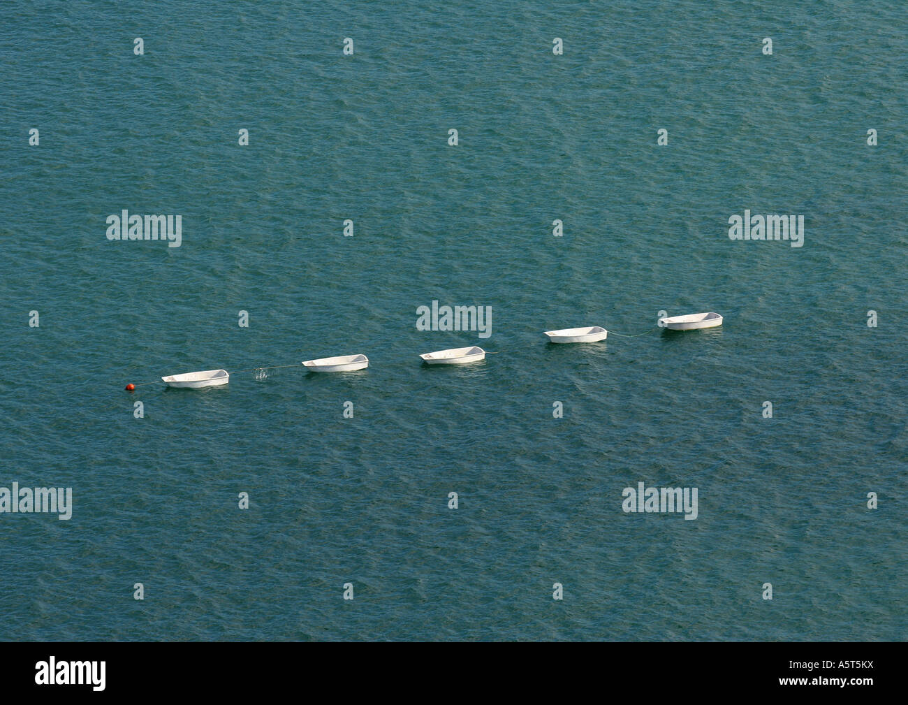 Ruderboote in der Schlange im Wasser, Luftbild Stockfoto