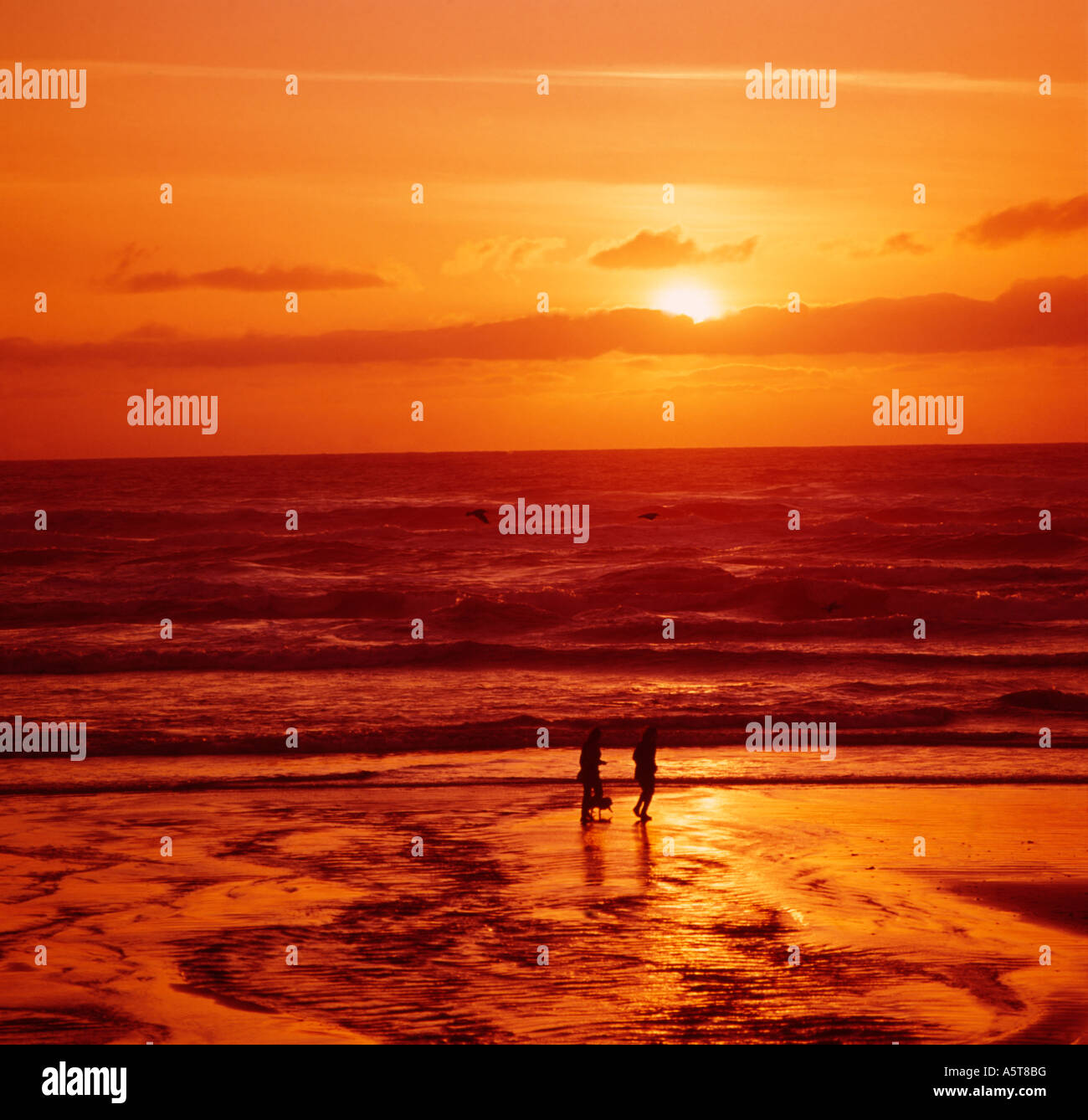 Zwei Strandbesucher und ihr Hund genießen Sie den Sonnenuntergang an einem einsamen Pazifik Küste Strand in Oregon Stockfoto