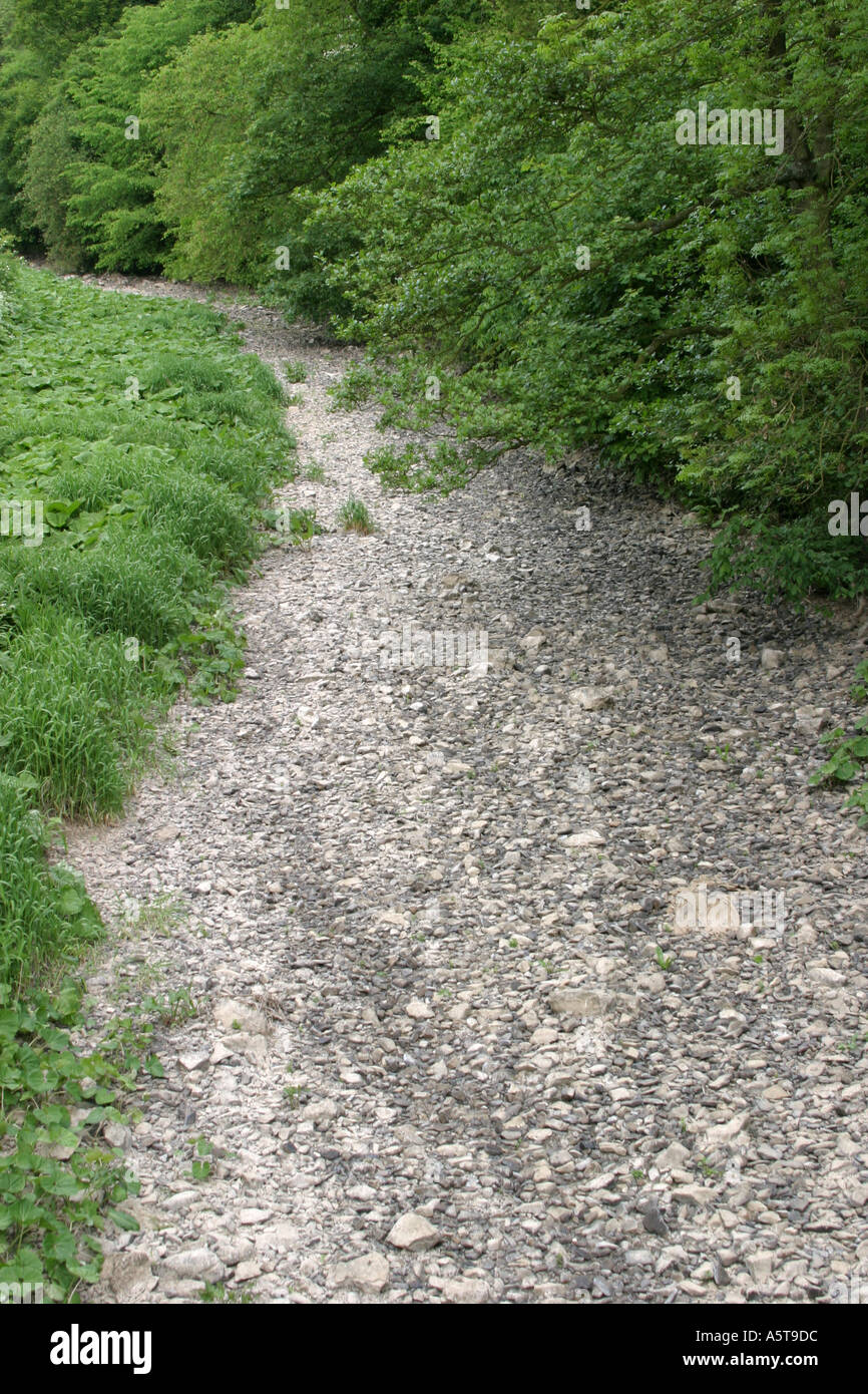 Ausgetrocknetes Flussbett des River vielfältig im Peak District Derbyshire England Stockfoto