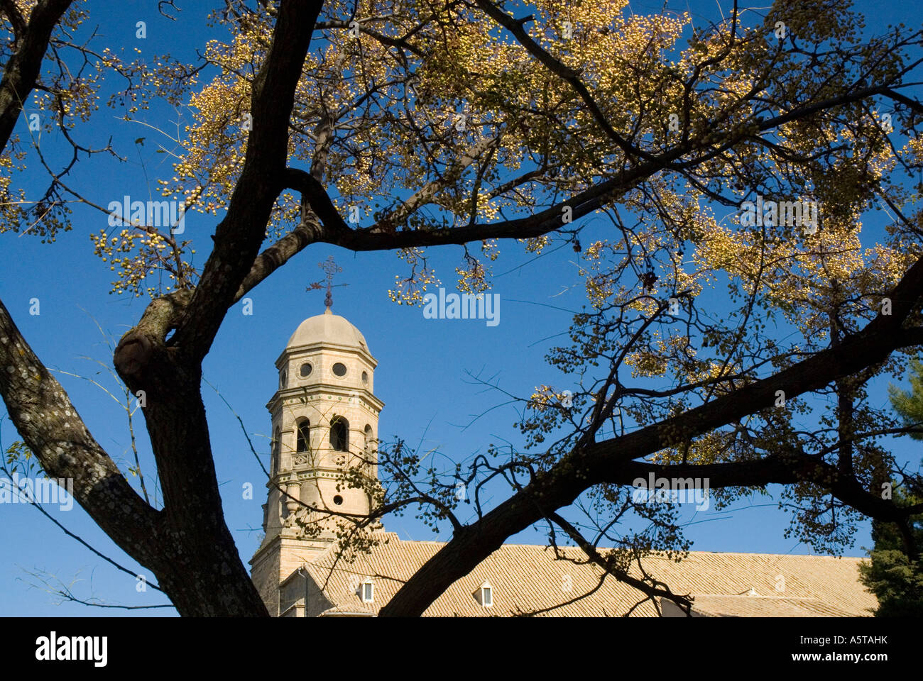 Kathedrale BAEZA Jaen Provinz Andalusien Spanien Stockfoto