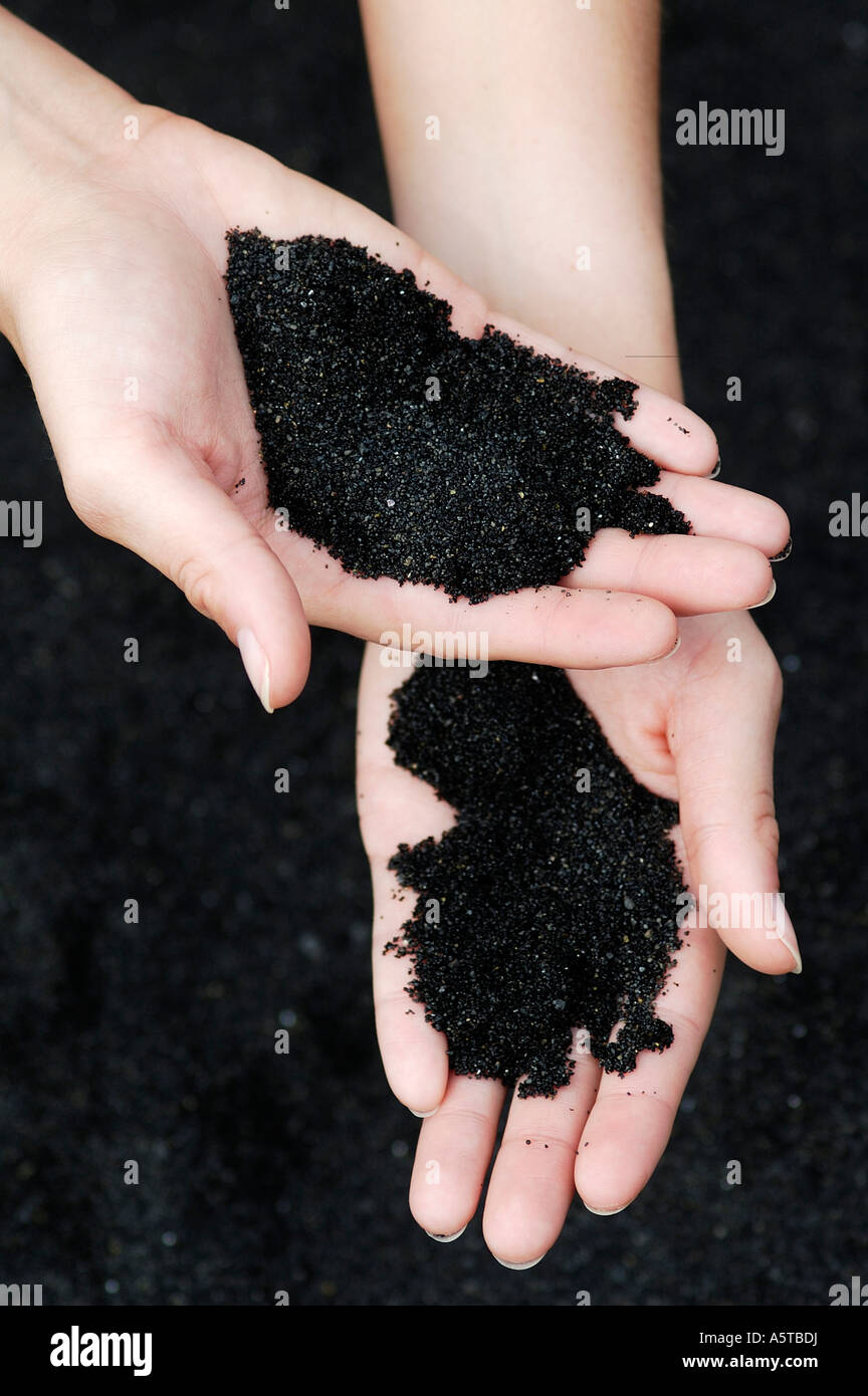 Händen mit schwarzem Sand auf Punalu'u Black Sand Beach - Big Island von Hawaii, USA Stockfoto