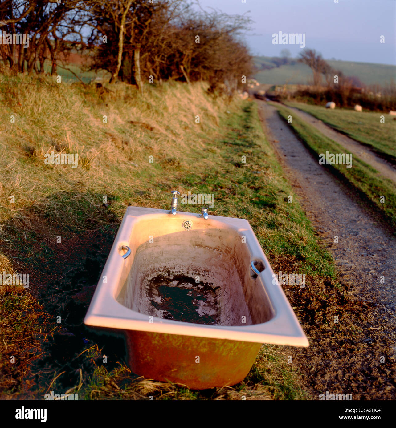 Leere Badewanne in Trockenheit in einer Agrarlandschaft in Wales Großbritannien Stockfoto